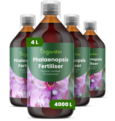 Vloeibare Meststof Voor Phalaenopsis 4X1 L Voor 4000 L - Npk 3-4-3 - Ondersteunt Langdurige Bloeicycli En Herhaalde Bloei - Versterkt Bloemstelen En Verbetert Het Behoud Van Knoppen - Verbetert De Algehele Plantvitaliteit - Organifer