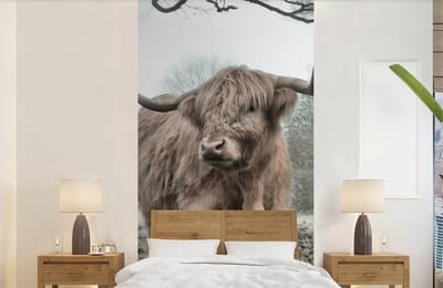 Behang - Fotobehang Schotse hooglander - Natuur - Herfst - Dieren - Wild - Bos - Breedte 120 cm x hoogte 240 cm