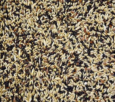 Vogro kanarie zangzaad - kanarievoer - kanariezaad 5 kg.