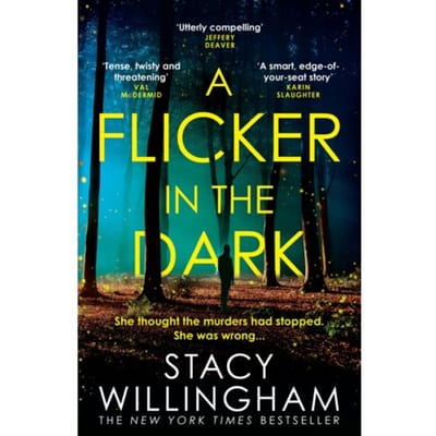 A Flicker In The Dark - Stacy Willingham