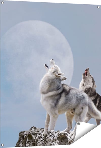 Gards Tuinposter Twee Wolven Die Huilen tijdens Volle Maan - 80x100 cm - Tuindoek - Tuindecoratie - Wanddecoratie buiten - Tuinschilderij