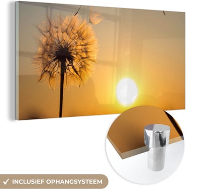 MuchoWow® Glasschilderij 40x20 cm - Schilderij acrylglas - Paardenbloem - Zon - Zonsondergang - Foto op glas - Schilderijen