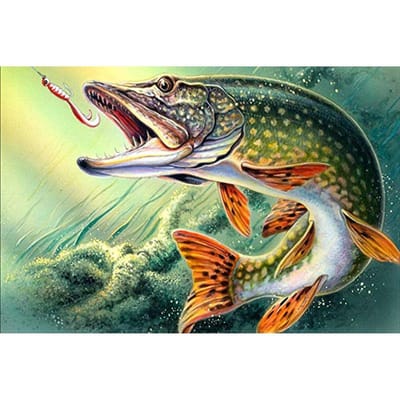 5D bricolage Daimond peinture complète  pêche  photos strass Diamant mosaïque Diamant broderie 50X70