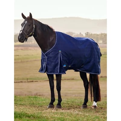 Outdoor paardendeken Weatherbeeta Comfitec Prelim 220g