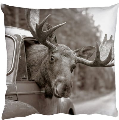 Sierkussens - Kussentjes Woonkamer - 50x50 cm - Eland - Auto - Gewei - Zwart - Wit
