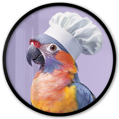 Poster in lijst Rond - Fotolijst 40x40 cm - Posters - Papegaai - Koksmuts - Paars - Cute - Ronde posterlijst zwart - Decoratie - Wanddecoratie woonkamer - Muurdecoratie slaapkamer