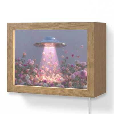 Wandlamp 20x15 cm - Oplaadbaar - Ufo - Rozen - Pastelkleuren - Wandlampen binnen woonkamer - Slaapkamer lamp met kabel - Decoratieve nachtlamp - Vloerlamp snoer
