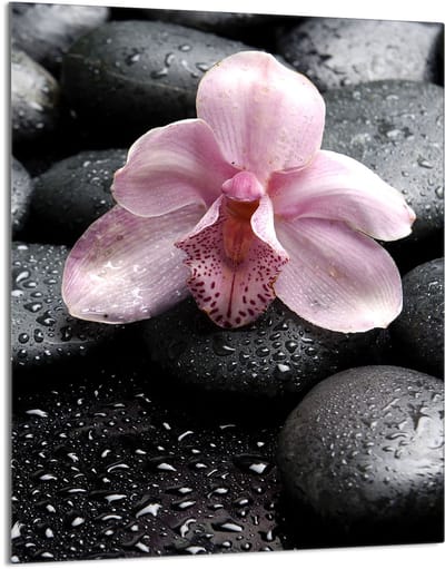 TMK ArtDeko - Snijplank van Veiligheidsglas - 40x52 cm - Motief Orchidea - Voor alle fornuizen
