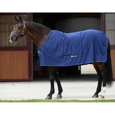 Outdoor paardendeken met halsbedekking Bucas Shamrock Power