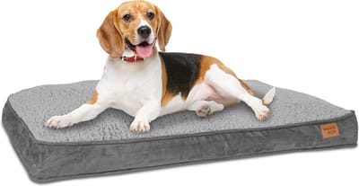 ib style Happy Dreams Hondenbed - Hondenmand - Hondenkussens - 82x58 cm - Grijs