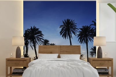Behang - Fotobehang Palmboom - Natuur - Strand - Zon - Nacht - Breedte 220 cm x hoogte 220 cm