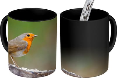 Magische Mok - Foto op Warmte Mokken - Koffiemok - Dieren - Vogel - Roodborstje - Magic Mok - Beker - 350 ML - Theemok