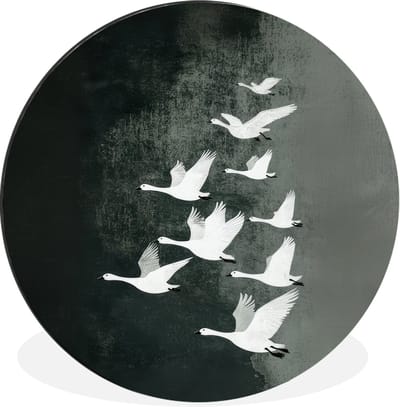 WallCircle - Wandcirkel - Muurcirkel - Vogel - Japandi - Groen - Aluminium - Dibond - 60x60 cm - Binnen en Buiten