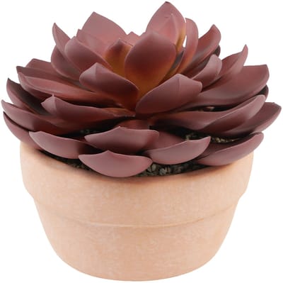 Vetplant in pot Echeveria kunst rood Ø15cm