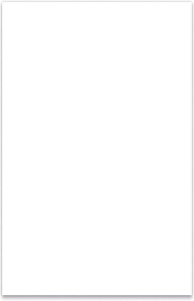 Boston PG-334-W pickguard material, 3 ply, 45x29cm, white