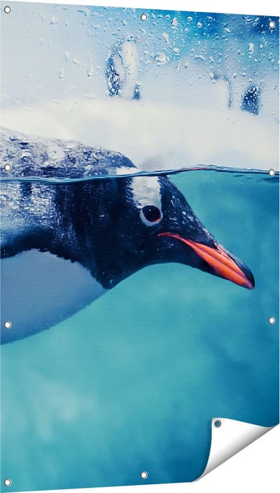 Gards Tuinposter Pingu�n Zwemt in het Water - 80x120 cm - Tuindoek - Tuindecoratie - Wanddecoratie buiten - Tuinschilderij