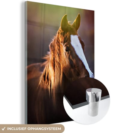 MuchoWow® Glasschilderij 30x40 cm - Schilderij acrylglas - Paard - Licht - Vacht - Foto op glas - Schilderijen