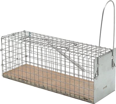Protect Home Vangkooi voor ratten - Ratten worden niet Gedood of Verwond