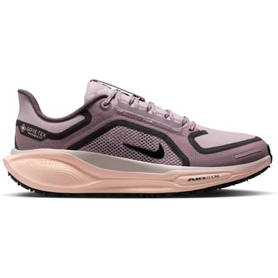 Hardloopschoenen voor dames Nike Pegasus 41 GORE-TEX