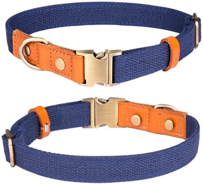 Dailygoods- Halsband Verstelbaar - Nylon/Huisdierhalsband - Metalen Veiligheidsgesp - Lichtgewicht/Zacht - Roestvrij Stalen Sluiting - Ademend/Huidvriendelijk - Hondenhalsband