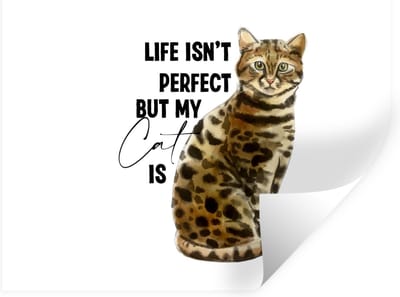 Muurstickers - Sticker Folie - Spreuken - Quotes - Life isn't perfect but my cat is - Poes - 40x30 cm - Plakfolie - Muurstickers Kinderkamer - Zelfklevend Behang - Zelfklevend behangpapier - Stickerfolie