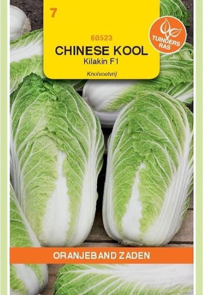 Oranjebandzaden -  Chinese kool Kilakin F1