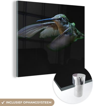 MuchoWow® Glasschilderij 50x50 cm - Schilderij acrylglas - Kolibrie - Vogel - Veren - Zwart - Foto op glas - Schilderijen