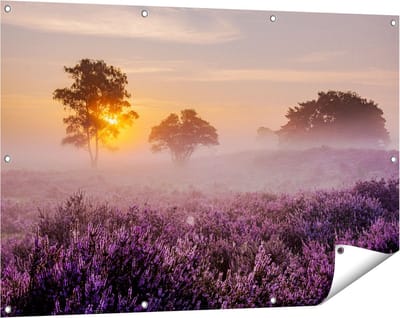 Gards Tuinposter Weide in de Veluwe bij Zonsondergang - 120x80 cm - Tuindoek - Tuindecoratie - Wanddecoratie buiten - Tuinschilderij