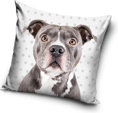 Hond - Sierkussen Kussen 40 x 40 cm inclusief vulling