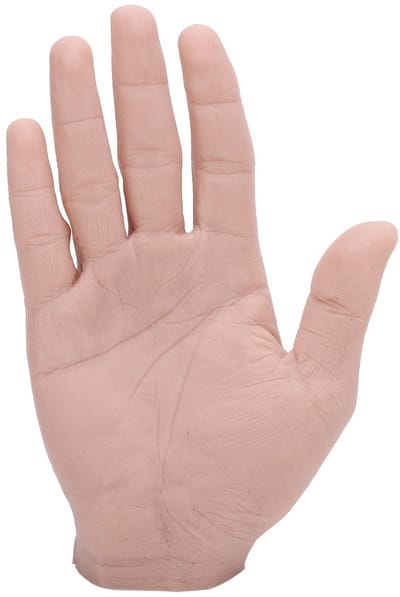 Dailygoods- Mannenhandmodel Realistisch - Siliconen Hand - Flexibel - Sieradendisplay - Fotorekwisieten - Oefenen Schilderen - 18 x 11 cm - Handmodel