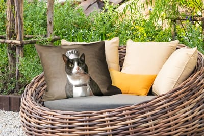 Buitenkussens - Tuin - Kat - Kokskleding - Zwart - Wit - 50x30 cm
