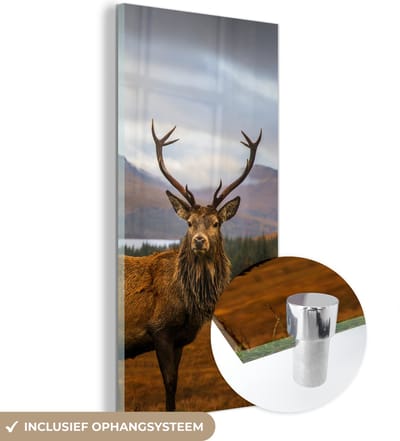 MuchoWow® Glasschilderij 60x120 cm - Schilderij acrylglas - Hert - Berg - Water - Landschap - Dieren - Bomen - Foto op glas - Schilderijen