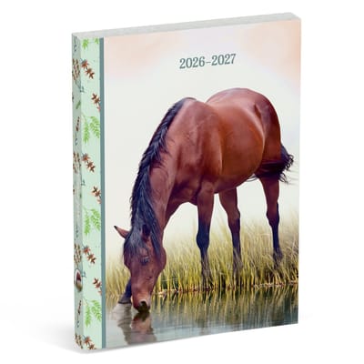 Amazone schoolagenda 2026/2027 - bruin paard
