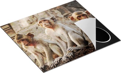 Chefcare Inductie Beschermer Drie Kleine Apen naast Elkaar - 60x50 cm - Afdekplaat Inductie - Kookplaat Beschermer - Inductie Mat