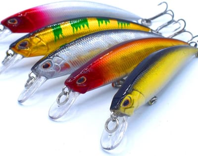 Set van 5 Kunstforellen Haken - Zacht Kunstaas voor Truite Vissen (8 cm, 9 gram)