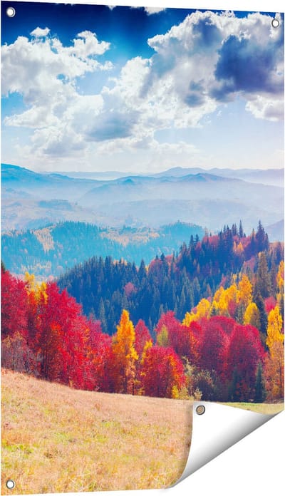 Gards Tuinposter Kleurrijke Herfstbos met Heuvellandschap - 60x90 cm - Tuindoek - Tuindecoratie - Wanddecoratie buiten - Tuinschilderij
