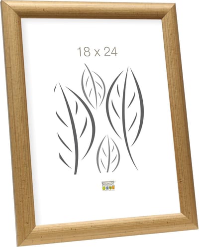 Deknudt Frames Fotolijst - goud - S40CA2 - fotomaat: 18x24 cm