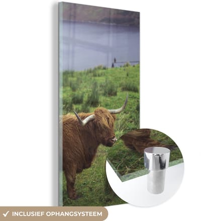 MuchoWow® Glasschilderij 20x40 cm - Schilderij acrylglas - Schotse Hooglander - Gras - Water -Dieren - Foto op glas - Schilderijen