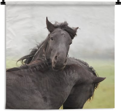 Wandkleed Fries paard - Two horses playing Wandkleed katoen 90x90 cm - Wandtapijt met foto
