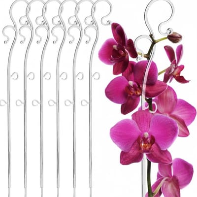Famanu – Transparante plantensteunen van pvc, set van 6 stuks voor kamerplanten, orchideeën en decoratieve bloemen