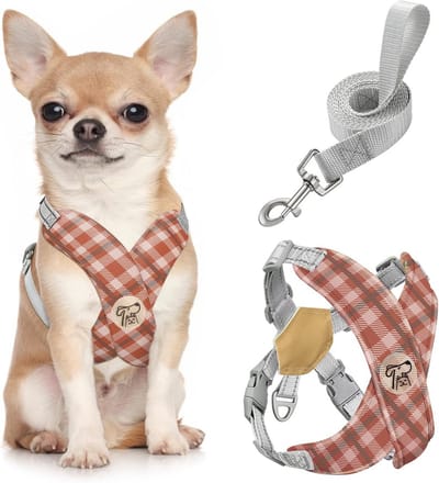 Verstelbaar Hondenharnas met Riem voor Kleine en Middelgrote Honden - Ademend en Gewatteerd Tuigje voor Puppy’s en Katten