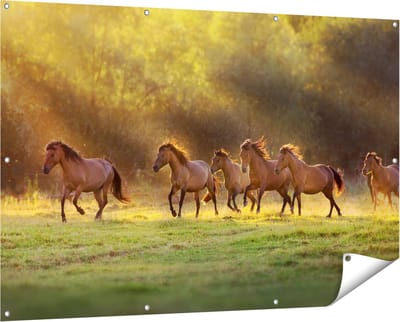 Gards Tuinposter Kudde Bruine Paarden in de Wei - 150x100 cm - Tuindoek - Tuindecoratie - Wanddecoratie buiten - Tuinschilderij
