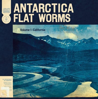Antarctica - Flat Worms