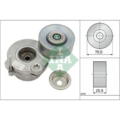Schaeffler Ina Spanarm, V-ribbelriem INA 534 0672 10