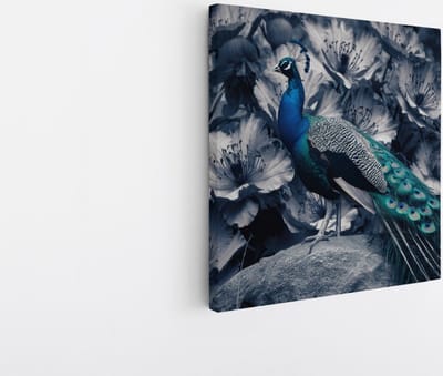 Saammp Canvas Schilderij - Pauw - Zwart-Wit - Dieren - Bloemen - 20x20 - Foto op canvas - Wanddecoratie - muurdecoratie Woonkamer - Slaapkamer decoratie - Canvas Print