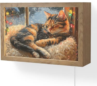 Wandlamp 30x20 cm - Oplaadbaar - Kat - Kerst - Winter - Dier - Wandlampen binnen woonkamer - Slaapkamer lamp met kabel - Decoratieve nachtlamp - Vloerlamp snoer