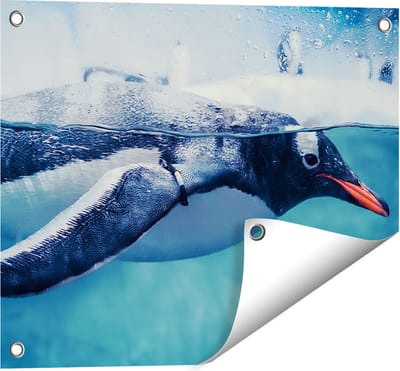 Gards Tuinposter Pingu�n Zwemt in het Water - 50x40 cm - Tuindoek - Tuindecoratie - Wanddecoratie buiten - Tuinschilderij