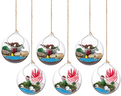 Glazen Globes Terrarium Vetplanten Orbs 6 Stks Glazen Planter Grote Opening Lucht Varen Planten Vaas Hanger 4,72 Inch voor Home Party Bruiloft Tuin DIY Ontwerp
