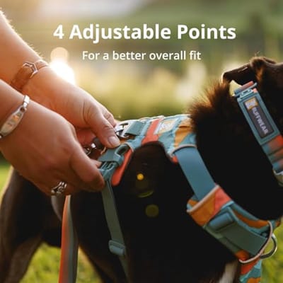 Reflecterend Y-Harnas voor Kleine Honden - Verstelbaar, Comfortabel en Anti-Trek