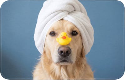 Badmat 80x50 cm - Antislip - Hond - Badeend - Geel - Badmatten voor badkamer - Badkamermat - Douchemat - Badkamer mat